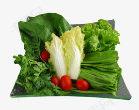 时令蔬菜素材图片免费下载 高清产品实物png 千库网 图片编号5387064