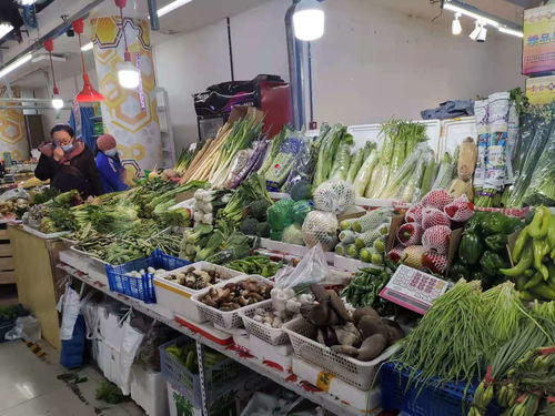 哈埠市场商品供应充足,蔬菜价格略有上涨